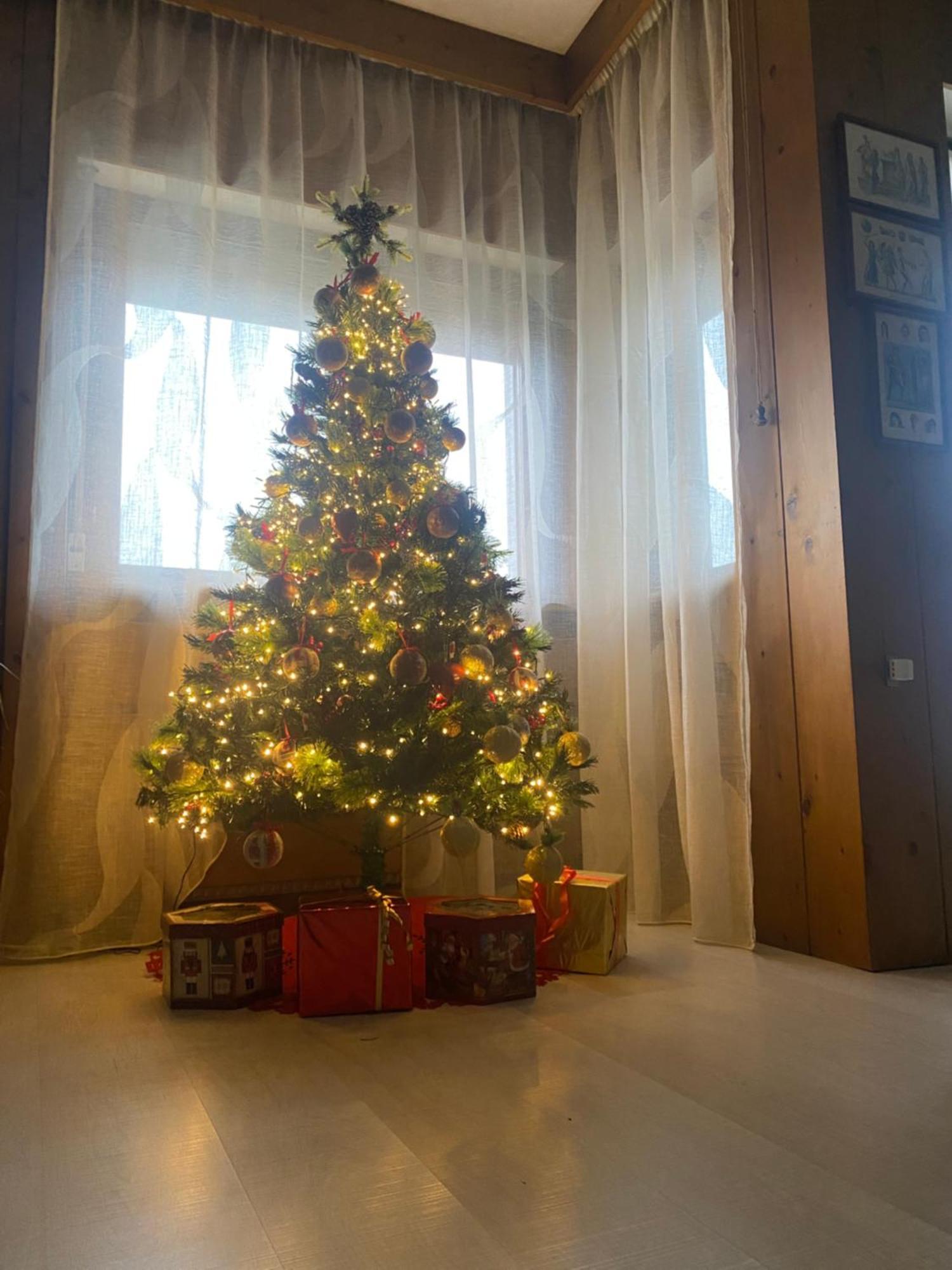 La Belle Vue Apartment เวโรนา ภายนอก รูปภาพ
