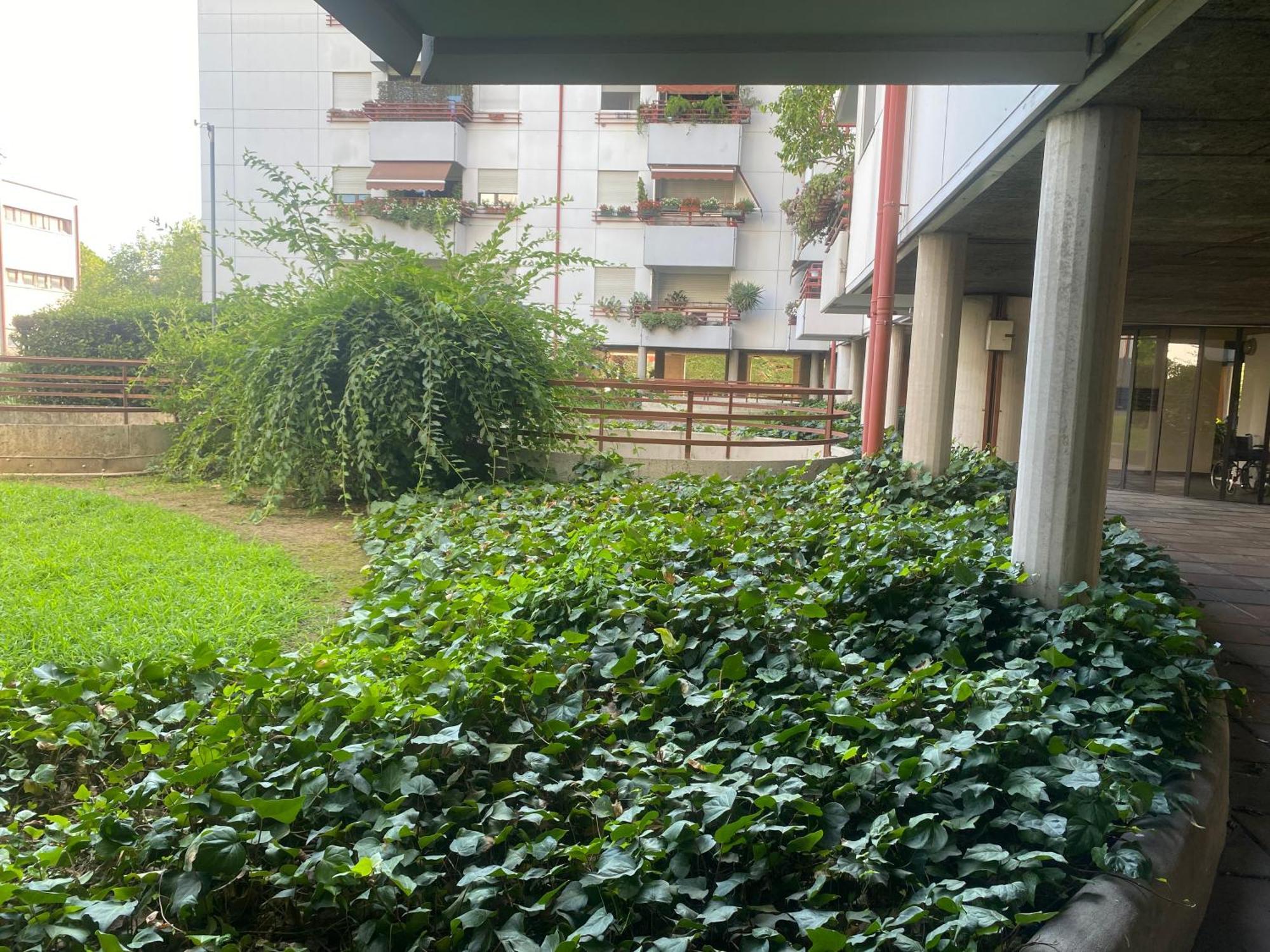 La Belle Vue Apartment เวโรนา ภายนอก รูปภาพ